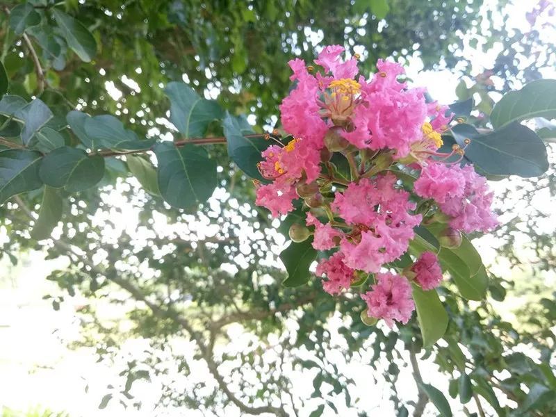 绿水青山，，，，，，，联翩而至，，，，，，，beats3652018云浮之旅