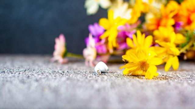 UGREENbeats365-品质新体验数码选beats365