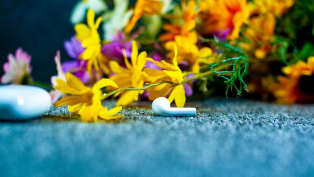 UGREENbeats365-品质新体验数码选beats365